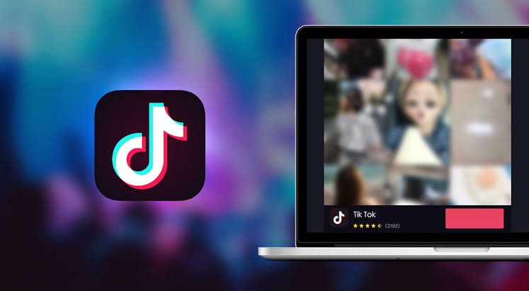 TIKTOK WIDGET