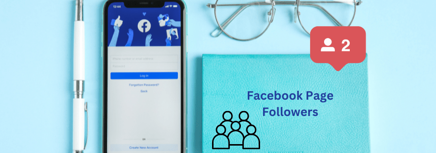 Facebook Page Followers